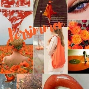 BUNDLE 1PERMISIMMON+GLOSSY GLOSS+ OPPS REMOVER